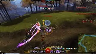 Roaming montage [RATS]