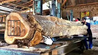 The Best Teak Wood for Furniture: Teak Horn Sawmill | Revealed!