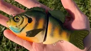 Making a Bluegill Swimbait