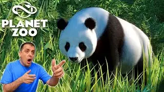 Cuidando Osos Pandas en Planet Zoo