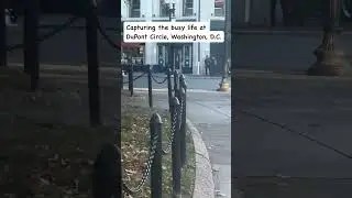 Watch to see the busy street life in Washington D.C.! #dupontcircle