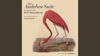 The Fishhawk (feat. Chuck Pinnell)