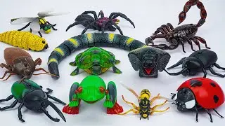 ZURU ROBO ALIVE COLLECTION | UNBOXING Robo Naja Cobra Snake, Robo Lady Bug , Robo Forg | ASMR