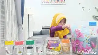 PROJECT BASED LEARNING(SCIENCE & MATE YEAR 1)