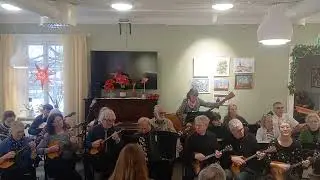 Band sodra Bergens Balalajka  Establish in stockholm 1970 