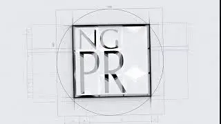 Логотип NGPR демо