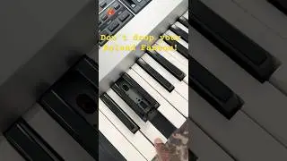 Roland Fantom G7 with a bad keybed! #rolandfantom #keyboardrepair #viralvideo