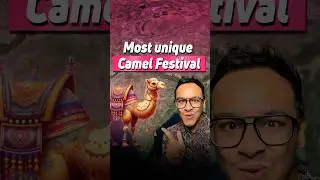 World&rsquo;s most unique Camel Festival 🤩 #pushkar #travelling #rajasthan