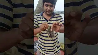 Hook Se Fish Pakde Hain | Desi Jugaad | Mini Vlog #shorts #viralvideo #minivlog