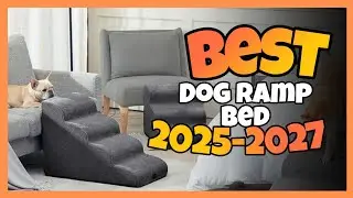 TOP 3:✅BEST DOG RAMP FOR BED 2025-2027 #dogramp #dogrampbed  #dogstairs #stairsdog  #stairsfordog