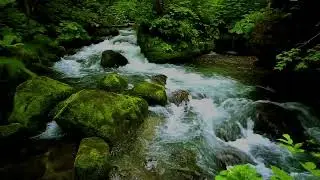Waterfall Sounds for Sleep | Water White Noise for Insomnia Relief, Relaxation & Stress Reduction