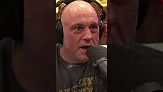 Джо Роган об Эллен Дедженерес