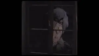 Shoebill bird outside your window meme