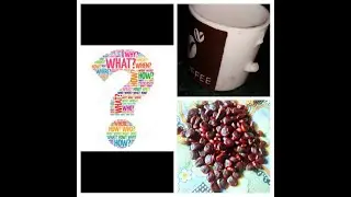 Imli seeds and old cup latest diy waste material diy