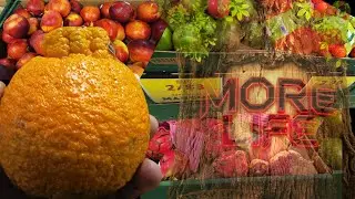 FRESH TYME [FRUITS AND VEGETABLES ]