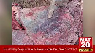 Chiniot Mein Food Terrorism Ke Khilaf Bari Karwai