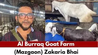 Al Burraq goat farm (Mazgaon) Zakaria Bhai