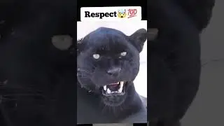 Respect #empathy #respect #tolerance