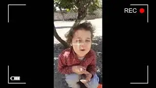 umud seyir deyir qan xoruz 2020