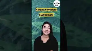 NEET 2026 🩺 Rapid 🔥 revision | Euglenoids Kingdom Protista | Biological Classification Class 11