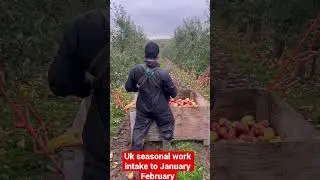 Uk seasonal work intake to January February self apply