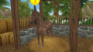 Pferderassen erraten 🦄 Teil 104