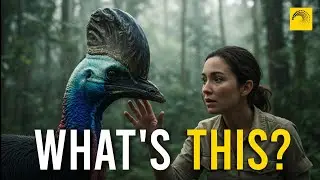 A Forest Older Than Dinosaurs: The Daintree Rainforest Explained!