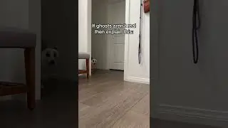 Предупреждение: не смотрите это видео, если вы пугливы!! 👻 #шорты30 #корги #призрак