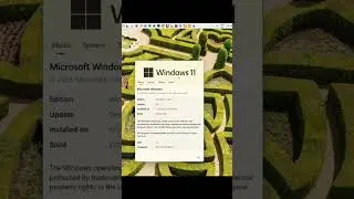 Windows 11 Desktop 25H2 #windows11 #windows #productivity #microsoft #pcsettings #ai #smartphone