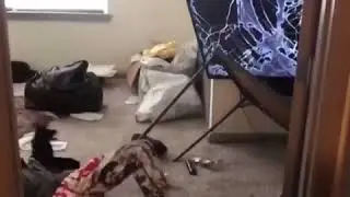 Thouxanbanfauni Drop Kicks TV !