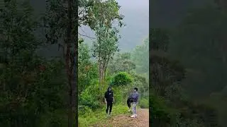 Ghumne Jaya karo Dost | Wilderness walk talk#MacalisterRiver #mountains #nature #family #hiking