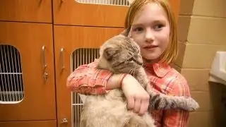 How to Find the Perfect Cat