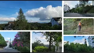 Walking at Silverpark Resort Fraser's Hill: Your Ideal Highland Apartment Getaway in Malaysia