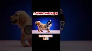 From Cute Dog 🐶 to Epic Robot 🤖 | Amazing Transformation!
