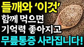 들깨와 함께 먹으면 보약되는 음식 3가지와 레시피 총정리! 값비싼 영양제 대신 '이것' 드세요! 들기름, 들깨가루 먹는법, 보관법 꿀팁까지!