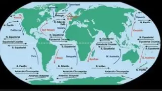 Surface Currents