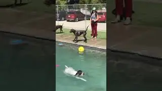 2019 GSP water park meet up
