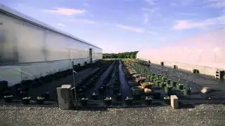 Real Estate Development Site For Sale: 925 Watervliet Shaker Road Albany, New York 12205