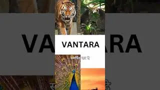 Anant Ambani initiative to save rare species#anantdadadt #animalrescue #vantara
