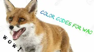 WAO COLOR CODES AND NAME CODES!