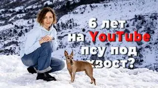 Отрицание, гнев, торг, стратсессия. Принятие кризиса и поиск выхода из него.