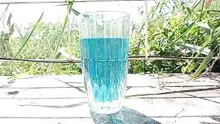 TURQUOISE TEA from the flower BUTTERFLY PEA FLOWER, in Laos, in Vientiane.