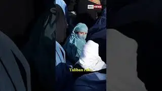 Afghanistan Bus Crash: 73 Dead, Including 17 Children, in Herat Province