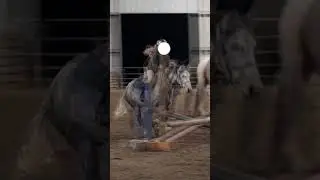 this was good I just didn't ride it well 😭😭 #fypviralシ #equestrian #viralshort  #fail #showjumping