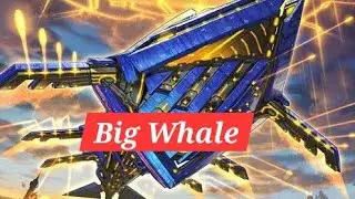 Locals 1/8/26 round 3 eannacraft vs bewd
