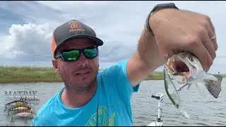 DockSide TV &laquo;Форель на подвесе&raquo;