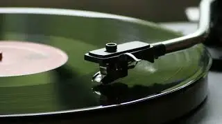 Maurizio Miceli - Dub Taste [Deepindub.org] [Deep, Dub, House, Minimal, Techno]