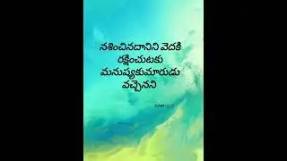 Bible bread #sinai#love#teluguchristiansongs#faith#joy#hope#shorts#music#christianvibes#music 