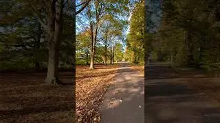 #autumn #fall #october #winter #seasons #london #travel #explorer #photography #reels #shortsviral
