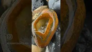 Come on now 🧡 #beachcombing #agate #agates #rockhound #rockhounding #gems #gemstones #pnw